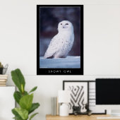 Snowy Owl Poster (Thuiskantoor)