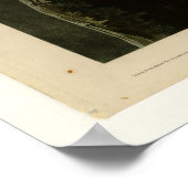 Snowy Owl Poster (Hoek)