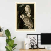 Snowy Owl Poster (Thuiskantoor)