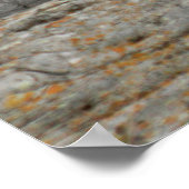 Snowy Owl Poster (Hoek)