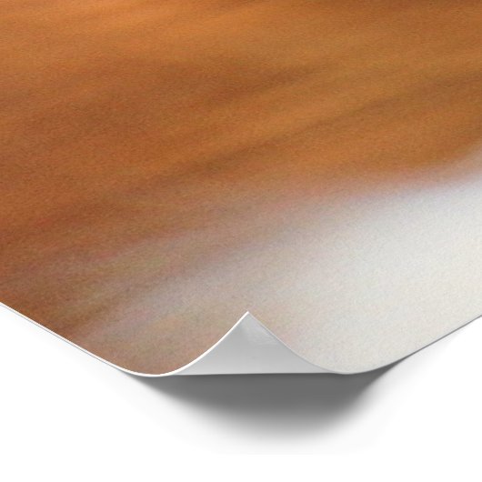 Snowy Owl Poster (Hoek)