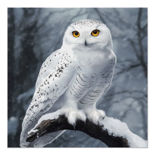 Snowy Owl Poster (Voorkant)