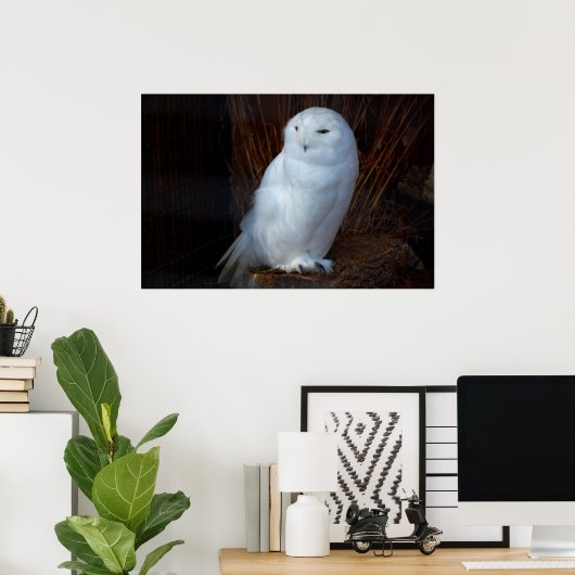 Snowy Owl Poster (Thuiskantoor)