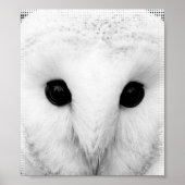 Snowy Owl Poster (Voorkant)