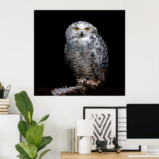 Snowy owl poster (Thuiskantoor)