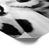 Snowy Owl Poster Print (Hoek)