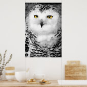 Snowy Owl Poster Print (Keuken)