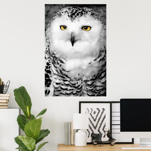 Snowy Owl Poster Print (Thuiskantoor)