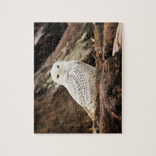 Snowy Owl Puzzle Legpuzzel