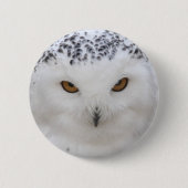 Snowy Owl Ronde Button 5,7 Cm (Voorkant)