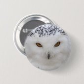 Snowy Owl Ronde Button 5,7 Cm (Voorkant /achterkant)