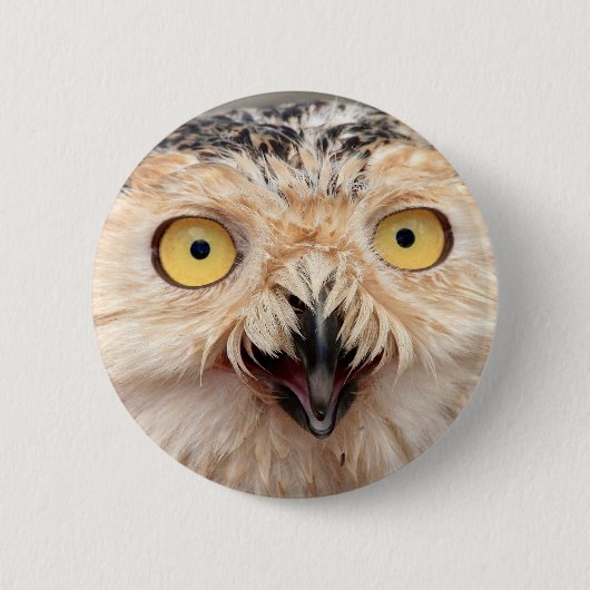 Snowy Owl Ronde Button 5,7 Cm (Voorkant)