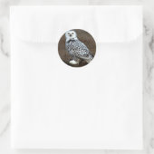 Snowy Owl Ronde Sticker (Tas)