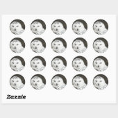 Snowy Owl Ronde Sticker (Vel)