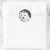 Snowy Owl Ronde Sticker (Tas)