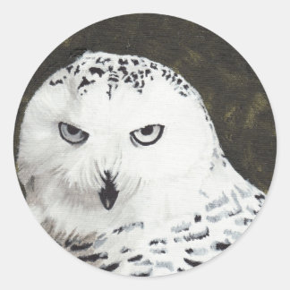 Snowy Owl Ronde Sticker