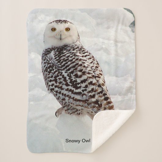 Snowy Owl Sherpa Blanket Deken (Voorkant)