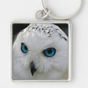 Snowy Owl Sleutelhanger
