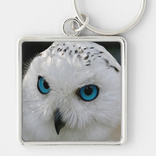 Snowy Owl Sleutelhanger (Voorkant)