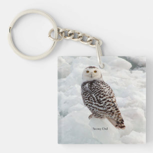 Snowy Owl sleutelketen Sleutelhanger