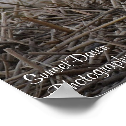 Snowy Owl Smiling Poster (Hoek)