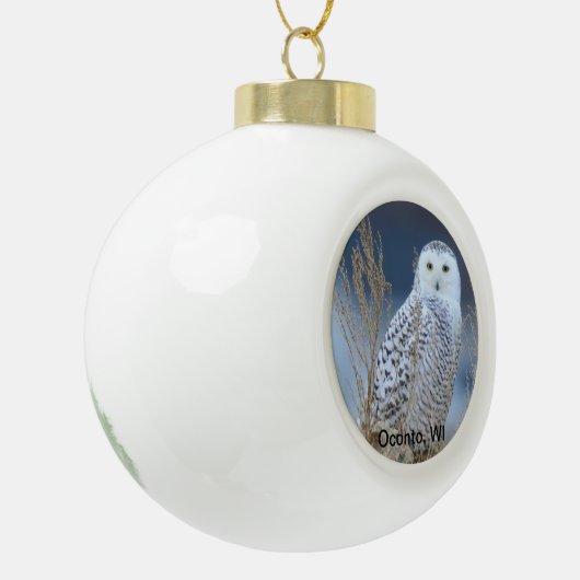 Snowy Owl Snowball Ornament (Links)