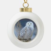 Snowy Owl Snowball Ornament (Voorkant)