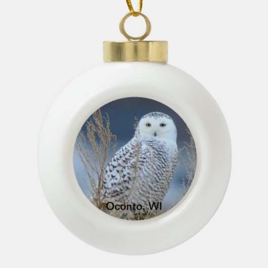 Snowy Owl Snowball Ornament (Voorkant)