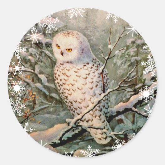 SNOWY OWL & SNOWFLAKES by SHARON SHARPE Ronde Sticker (Voorkant)