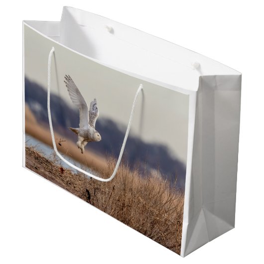 Snowy owl start op large cadeautasje (Voorkant Gekanteld)