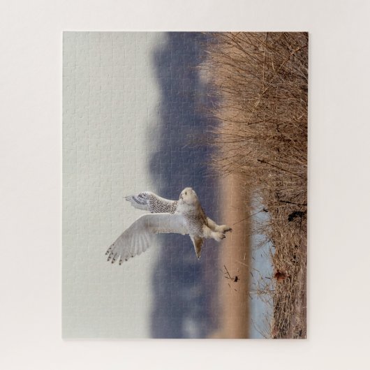 Snowy owl start op legpuzzel (Verticaal)