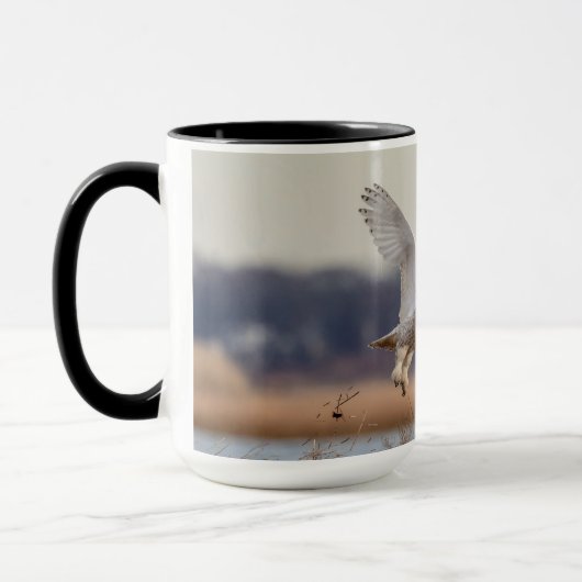 Snowy owl start op mok (Links)