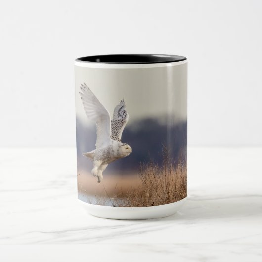 Snowy owl start op mok (Midden)