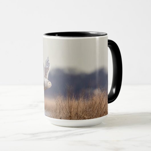 Snowy owl start op mok (Voorkant rechts)