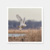 Snowy owl start op servet (Voorkant)