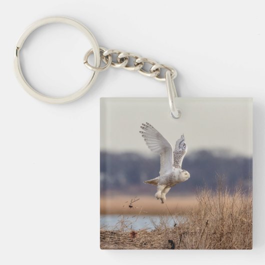 Snowy owl start op sleutelhanger (Voorkant)
