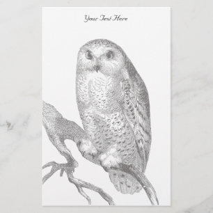  Snowy Owl Stationery Briefpapier