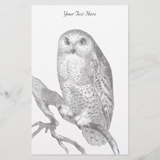  Snowy Owl Stationery Briefpapier (Voorkant)