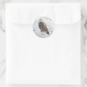 Snowy Owl sticker (Tas)