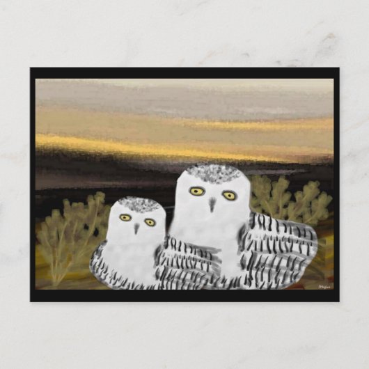 Snowy Owl Sunrise Briefkaart (Voorkant)