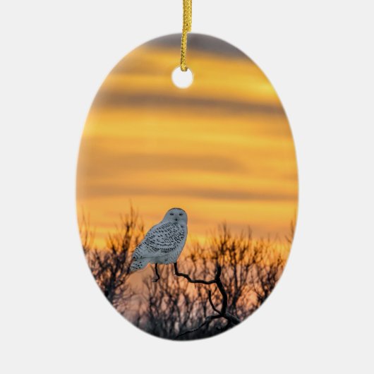 Snowy Owl Sunset Ornament (Voorkant)
