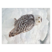 Snowy Owl tabeldoek Tafelkleed (Voorkant (Horizontaal))