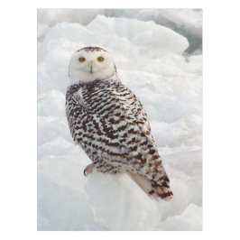 Snowy Owl tabeldoek Tafelkleed