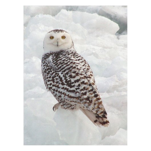 Snowy Owl tabeldoek Tafelkleed (Voorkant)