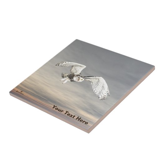 Snowy Owl Tegeltje (Zijkant)