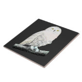 Snowy Owl Tegeltje (Zijkant)