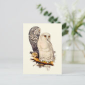  Snowy Owl tekening Briefkaart (Staand voorkant)
