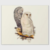  Snowy Owl tekening Cadeaupapier (Vlak)