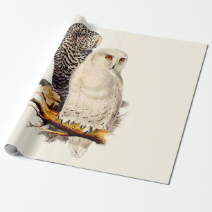  Snowy Owl tekening Cadeaupapier
