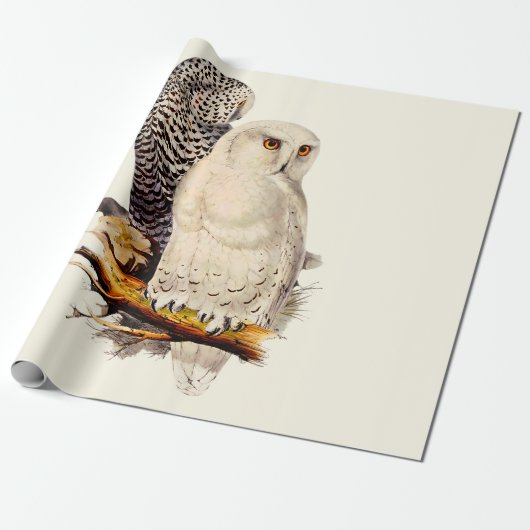  Snowy Owl tekening Cadeaupapier (Uitgerold)